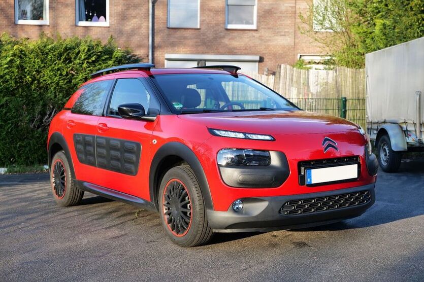 C4 Cactus