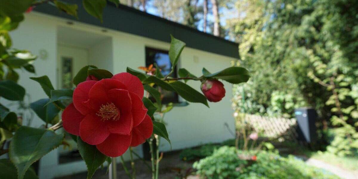 Bungalow Hamburg Hausbruch - 4 Zimmer, 123 m&sup2;, 649.000&euro; | Angebot:26402122