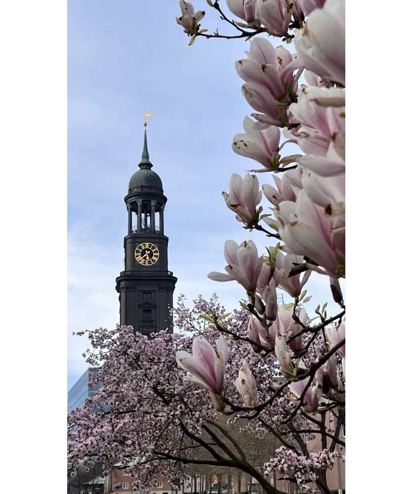 Haus zum Kaufen in Hamburg 3.590.000 € 902.45 m²