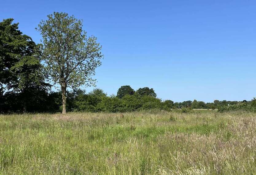 Grundstück zu verkaufen in Prisdorf 600.000 € 798 m²