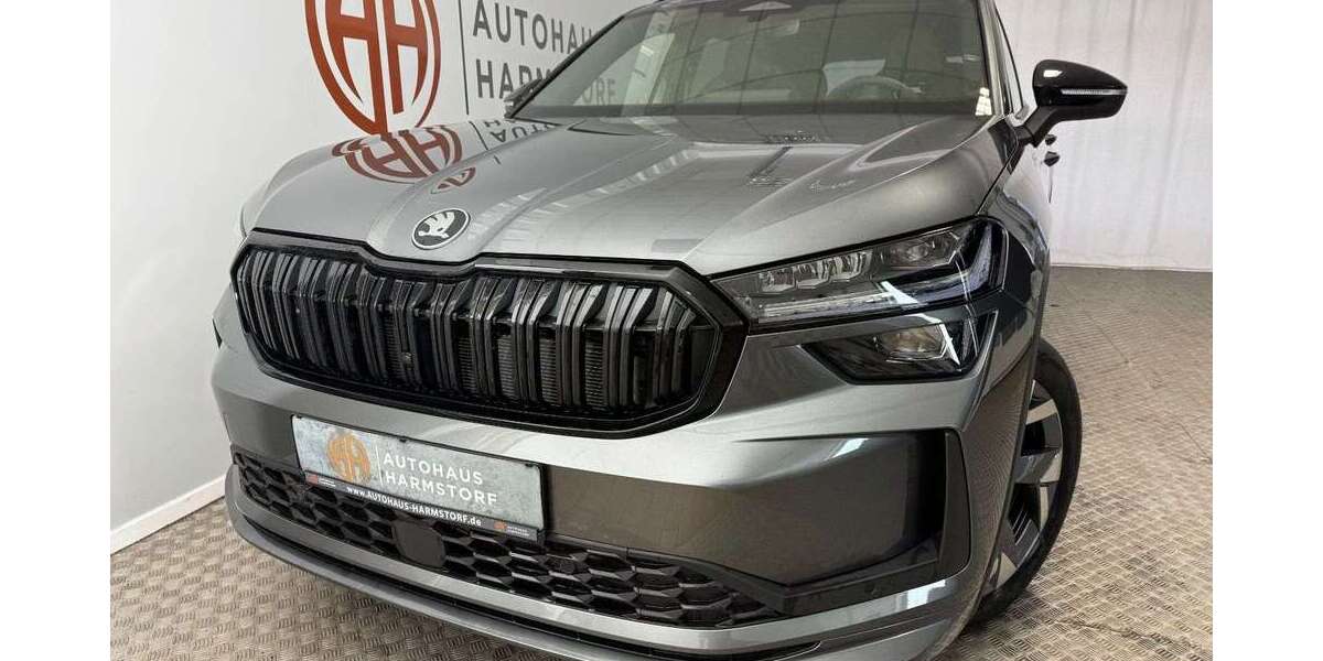 Skoda Kodiaq 1.120 km 42.975 &euro; Harmstorf 21228