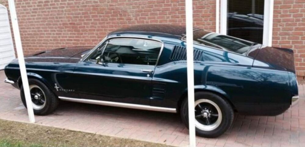 Mustang