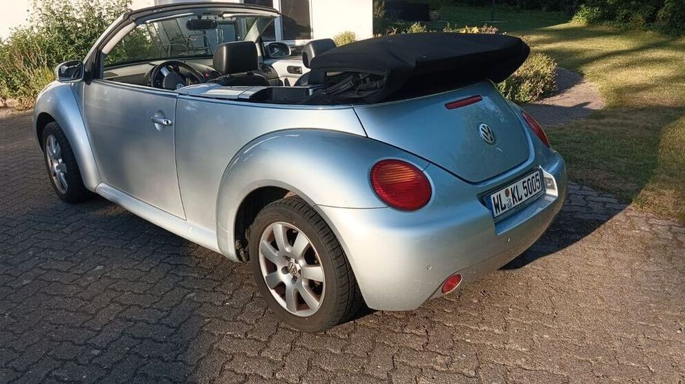 Beetle