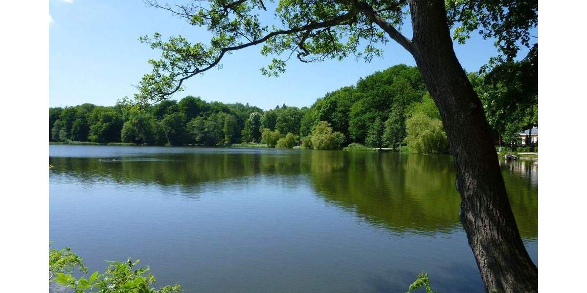 Majestätischer Ausblick! Baugrundstücke für Ein-Zweifamilienhäuser zimmer