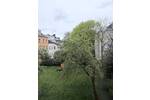 Etagenwohnung Hamburg Borgfelde - 3 Zimmer, 65 m&sup2;, 265.000&euro; | Angebot:26807202