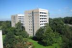 Etagenwohnung Hamburg Altona - 1 Zimmer, 32 m&sup2;, 464&euro; | Angebot:26423825