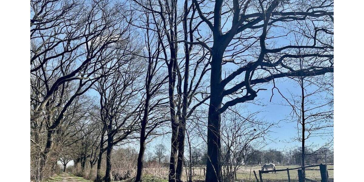 Mehrfamilienhaus, Wohnhaus Jersbek - 8 Zimmer, 292 m&sup2;, 1.290.000&euro; | Angebot:26014599