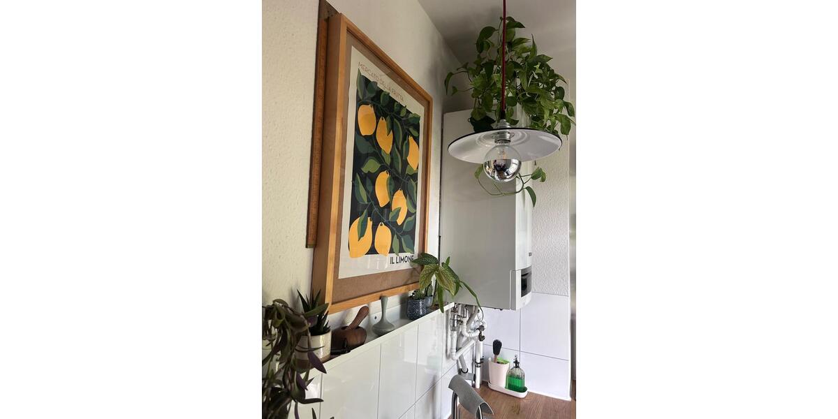Etagenwohnung Hamburg Hamburg-Mitte - 3.5 Zimmer, 75 m&sup2;, 1.250&euro; | Angebot:26397657