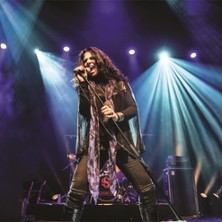 Sari Schorr