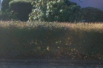 Haus Buxtehude - 2 Zimmer, 134 m&sup2;, 399.000&euro; | Angebot:25393519