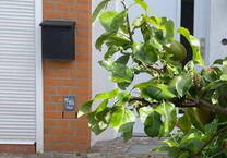 Schönes Reihenhaus in Neuallermöhe-West zu mieten