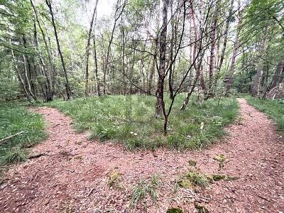 ATTRAKTIV FÜR FREIZEIT ODER IDEAL FÜR PROJEKTIERER - Grundstück Pinneberg | Angebot:26029765