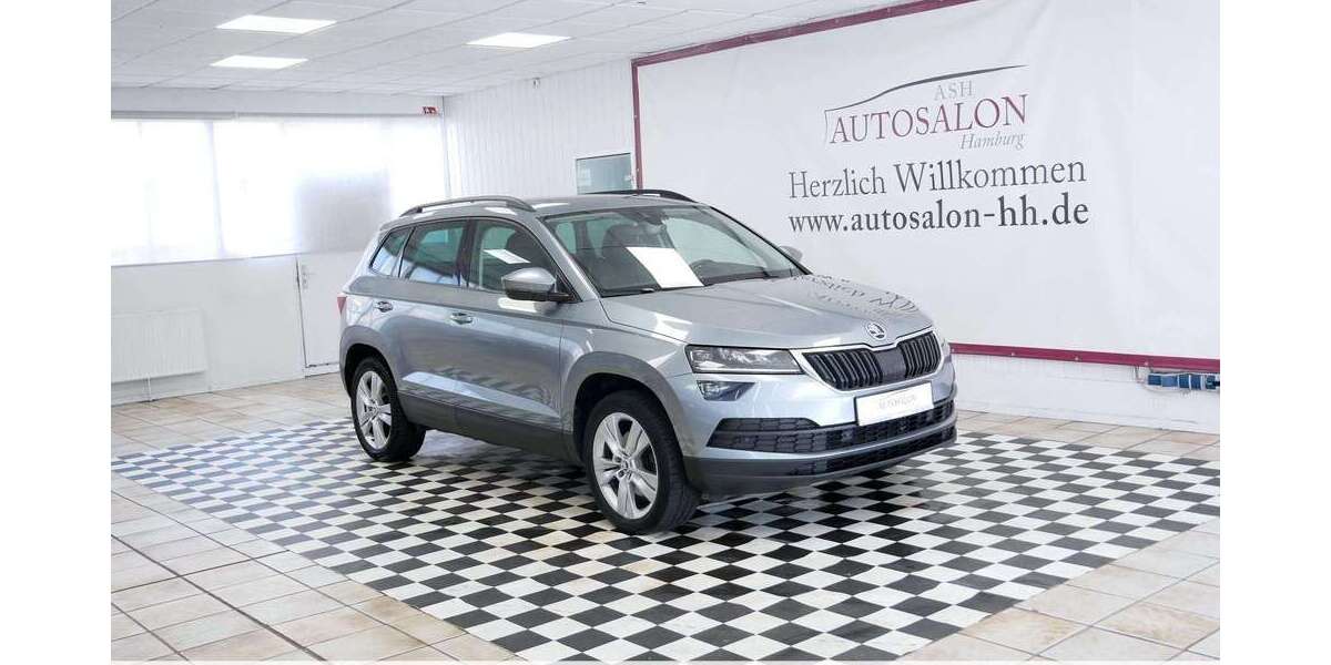Skoda Karoq 165.940 km 17.699 &euro; Hamburg 22399