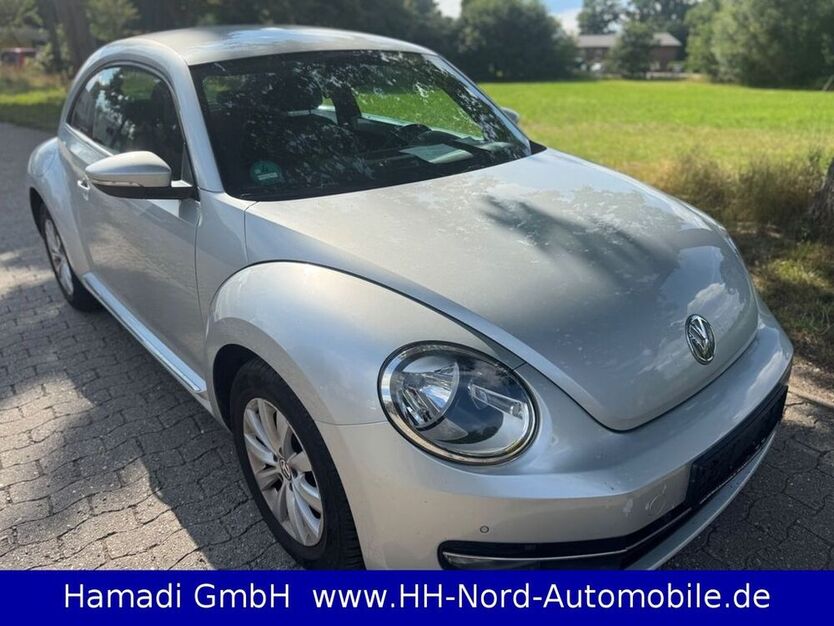 Beetle