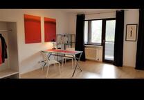 Möblierte 1-Zimmer-Wohnung mit großem Süd-Balkon zur Miete