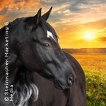 OSTWIND live - Zusammen sind wir frei