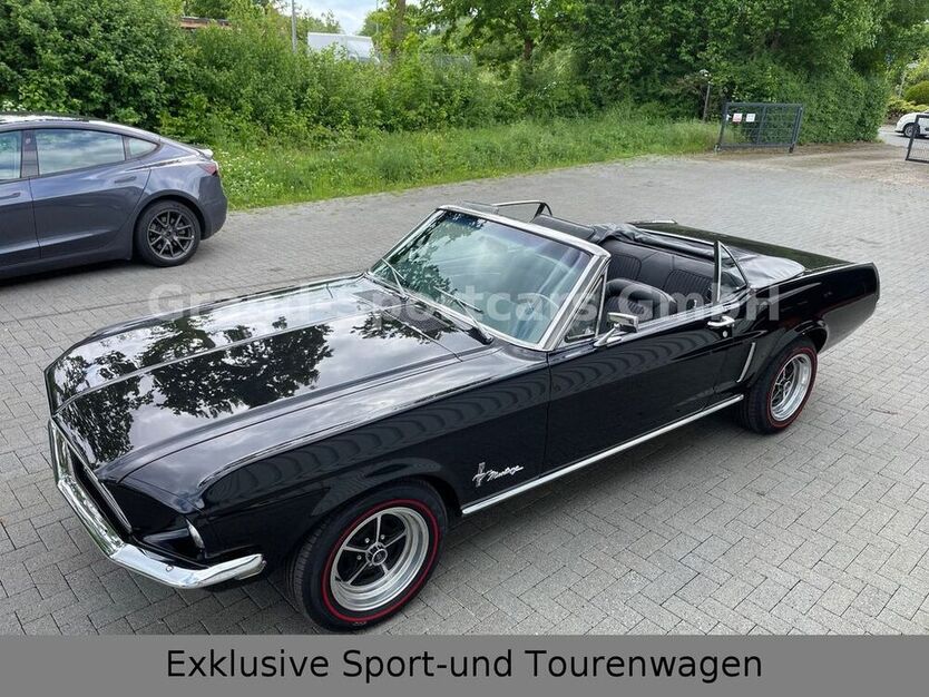Mustang