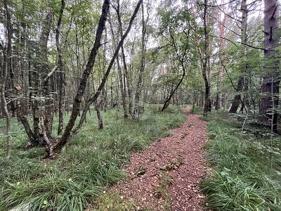 ATTRAKTIV FÜR FREIZEIT ODER IDEAL FÜR PROJEKTIERER - Grundstück Pinneberg | Angebot:26029765