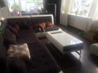 Einfamilienhaus Uetersen - 4 Zimmer, 80 m&sup2;, 1.590&euro; | Angebot:26238657