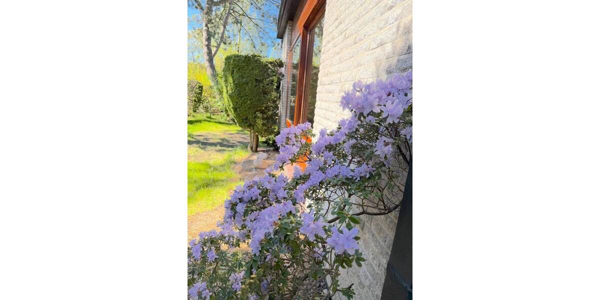 Einfamilienhaus Hamburg Groß Flottbek - 5 Zimmer, 200 m&sup2;, 1.750.000&euro; | Angebot:26346416