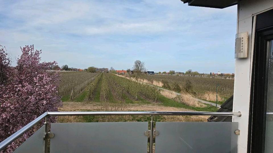 Dachgeschoßwohnung Hollern-Twielenfleth Twielenfleth - 3 Zimmer, 80 m&sup2;, 950&euro; | Angebot:26129910