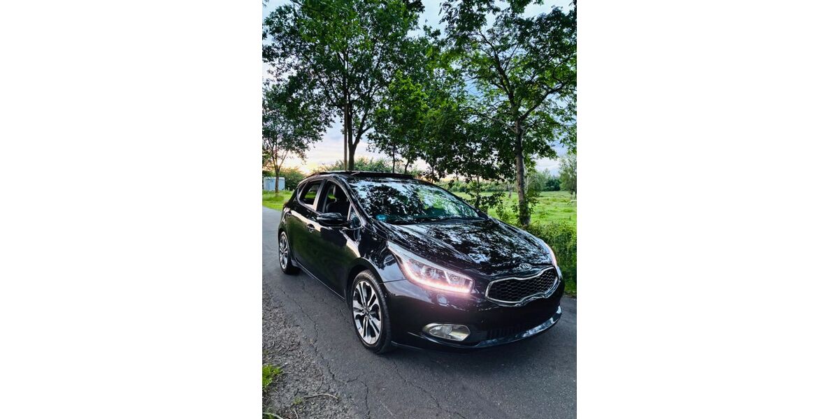 Kia ceed / Ceed 174.000 km 8.499 &euro; Buxtehude 21614