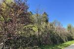 Grundstück Rosengarten Ehestorf - 625.000&euro; | Angebot:25768609