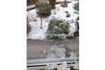 Etagenwohnung Halstenbek - 2 Zimmer, 54 m&sup2;, 550&euro; | Angebot:25228386