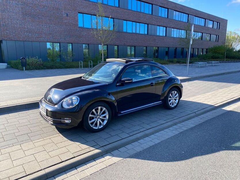 Beetle