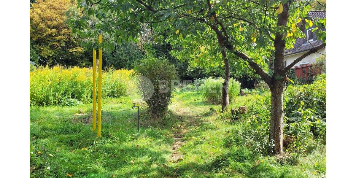 Baupartner gesucht - Bauplatz für ein Einfamilienhaus in ruhiger Parklage zimmer