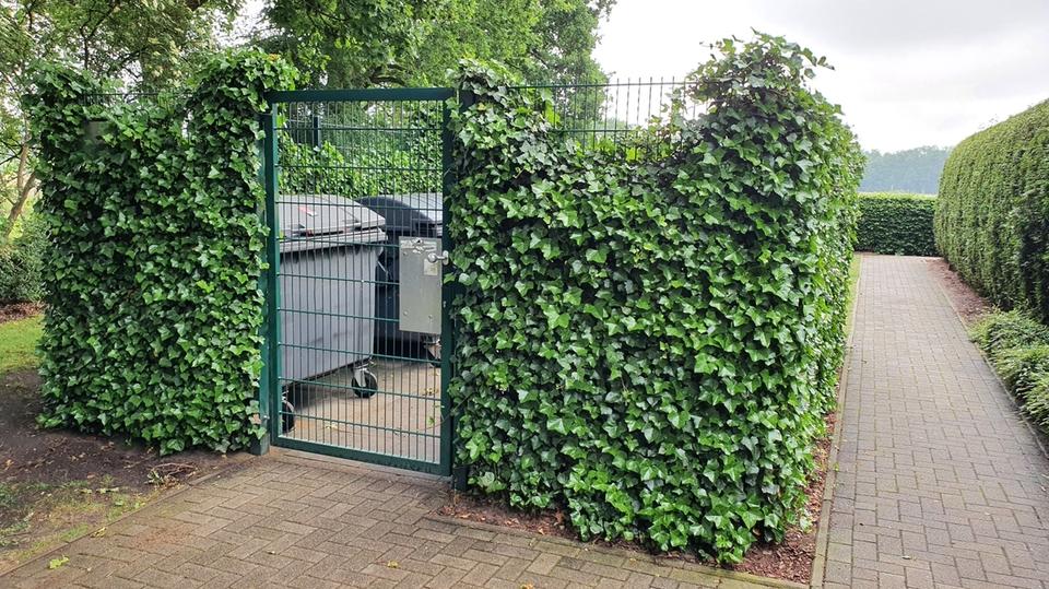 Etagenwohnung Norderstedt Friedrichsgabe - 3 Zimmer, 78 m&sup2;, 1.200&euro; | Angebot:24747970