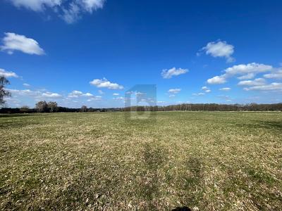 GROßE FLÄCHE MIT VIELSEITIGER NUTZUNG - Grundstück Oststeinbek | Angebot:26345562