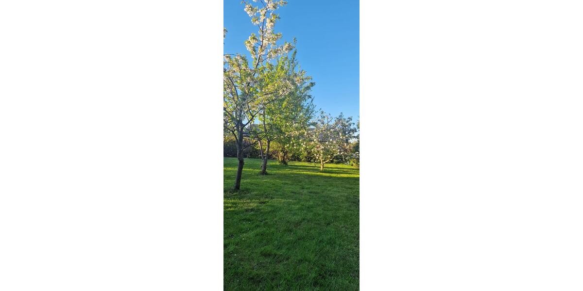 Mehrfamilienhaus, Wohnhaus Hamburg Allermöhe - 6 Zimmer, 157 m&sup2;, 650.000&euro; | Angebot:26838237