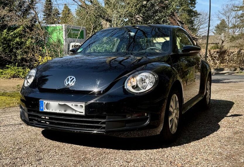 Beetle