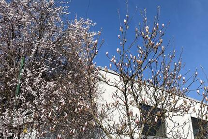 Gewerbeobjekt Hamburg Altona - 1.920&euro; | Angebot:25899524