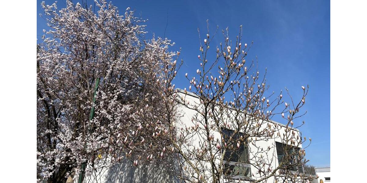 Gewerbeobjekt Hamburg Altona - 1.920&euro; | Angebot:25899524