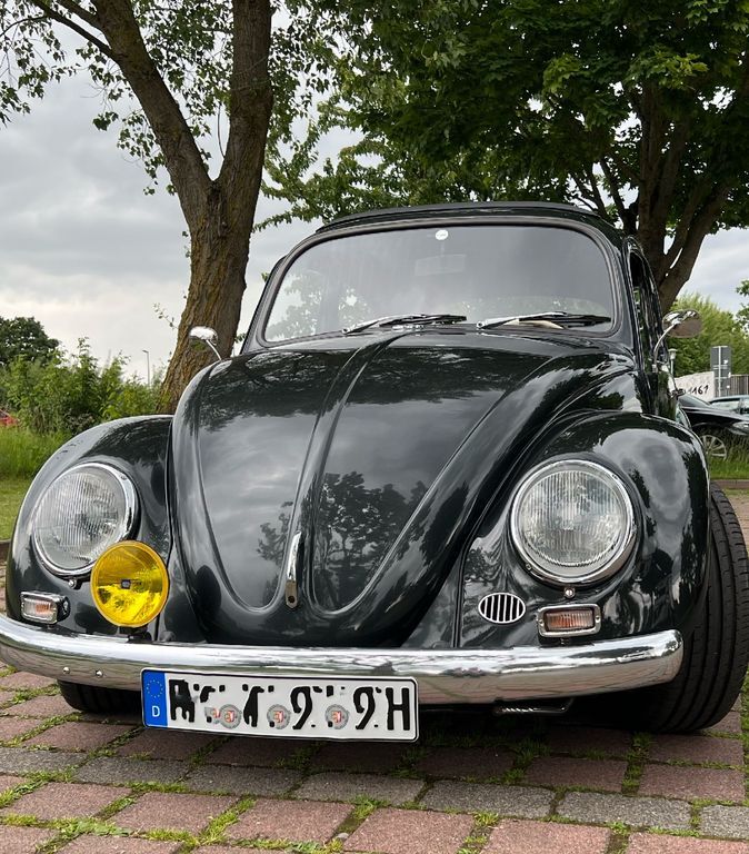 Käfer