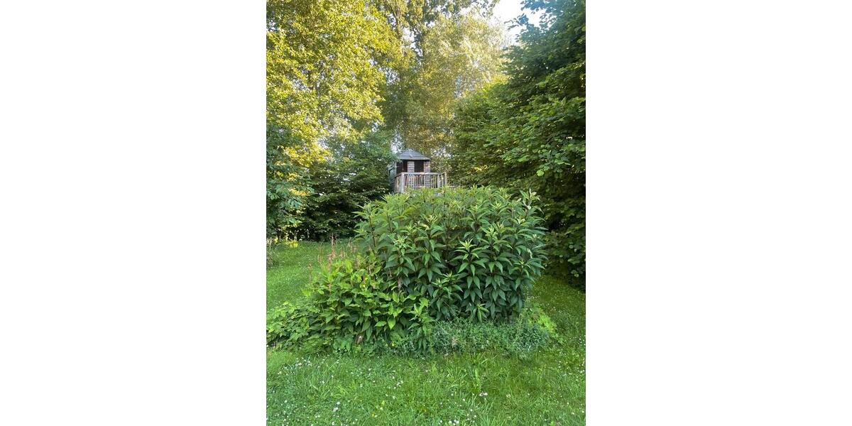 Einfamilienhaus Hamburg Sternschanze - 8 Zimmer, 400 m&sup2;, 799.000&euro; | Angebot:26678214