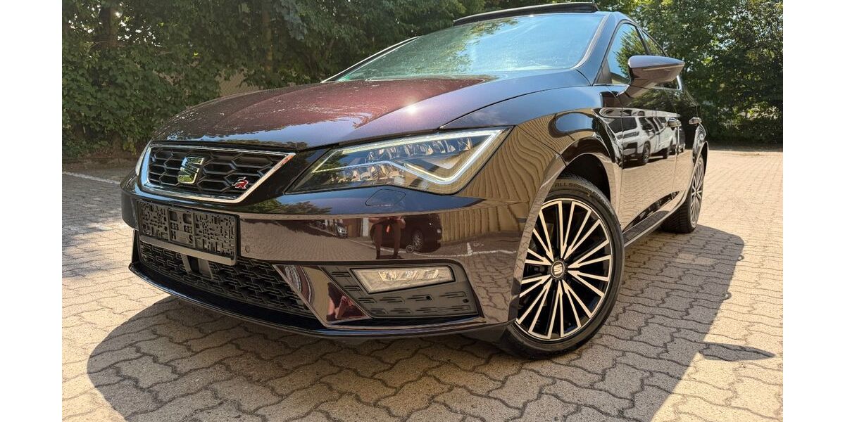 Seat Leon 173.097 km 10.490 &euro; Hamburg 22047