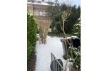 Reihenhaus Norderstedt Friedrichsgabe - 4 Zimmer, 105 m&sup2;, 329.000&euro; | Angebot:26531129