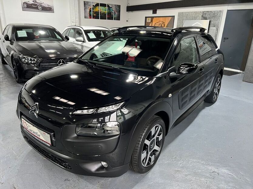 C4 Cactus