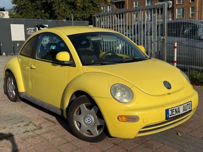Beetle