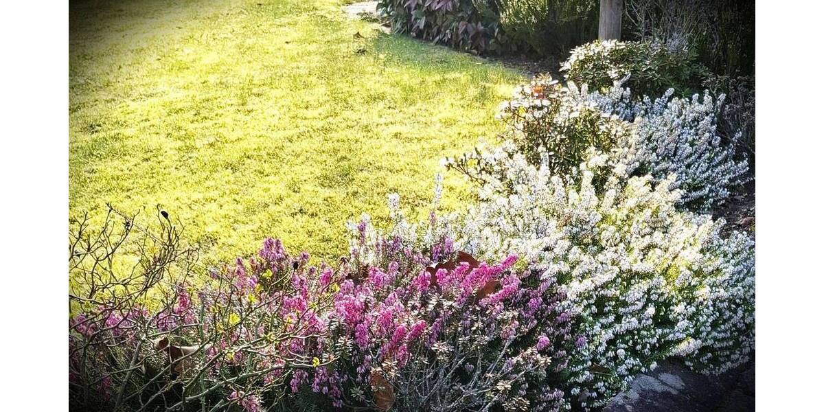 Reihenendhaus Seevetal Emmelndorf - 4 Zimmer, 95 m&sup2;, 319.000&euro; | Angebot:26168063