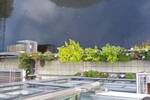 Etagenwohnung Hamburg Uhlenhorst - 3 Zimmer, 92 m&sup2;, 2.500&euro; | Angebot:26862791