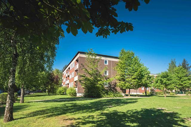 Schöne und weitläufige 3-Zimmer-Wohnung frisch saniert 3 zimmer