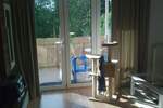 Renovierte 1-Zim.-Whg. mit Terrasse
