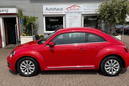 VW Beetle 68.000 km 9.950 &euro; Winsen (Luhe). 21423