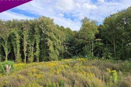 Haus Kayhude - 6 Zimmer, 140 m&sup2;, 2.250&euro; | Angebot:25682408