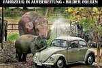T-Roc 1.5 TSI *Style* DSG Klima Pano Leder LED