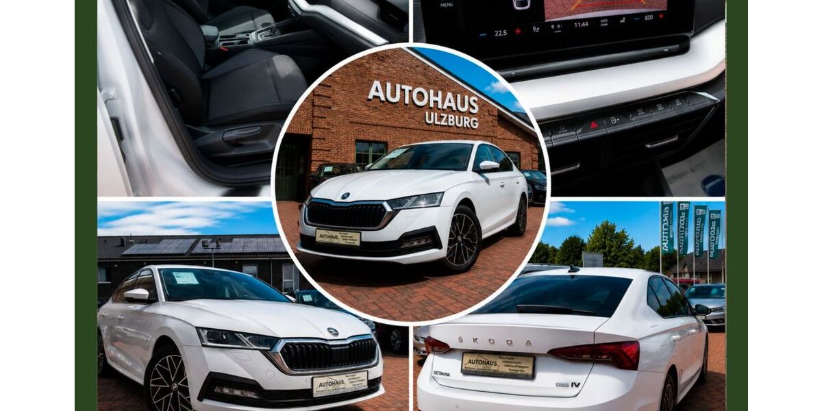 Skoda Octavia 114.117 km 17.900 &euro; Henstedt Ulzburg(20 km nördlich von HH-direkt an der A7) 24558